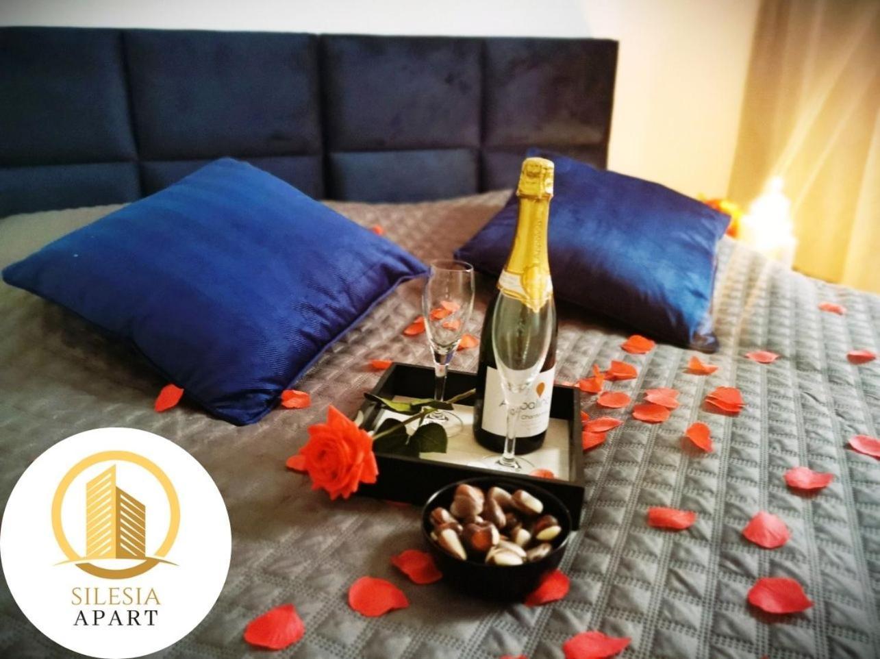 Apartament Granatowy Tychy Esterno foto